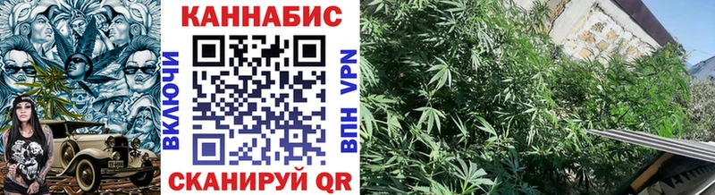 LSD-25 Балашов