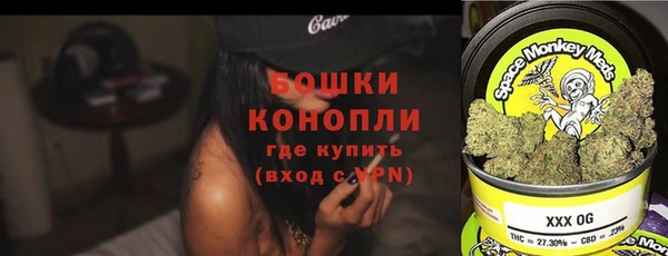 шишки Беломорск