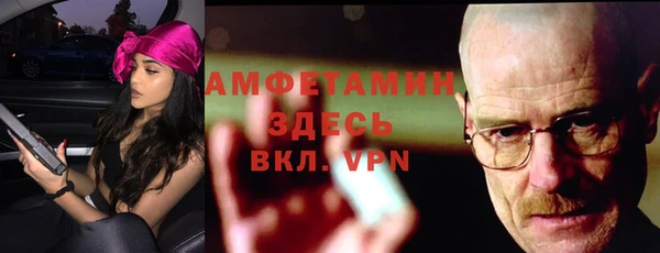 шишки Беломорск
