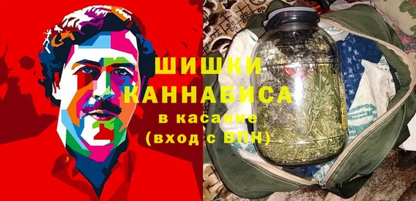сатива Белоозёрский