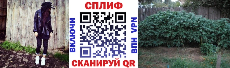 Каннабис SATIVA & INDICA  гидра ССЫЛКА  Балашов  купить  цена 